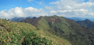 東黒森から伊予富士