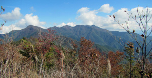 綱繰山からパノラマ