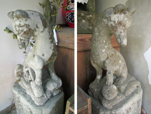 柊木神社のキツネ