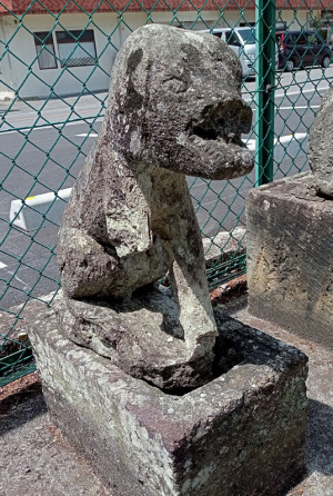 上戸祭町高龗神社の狛犬
