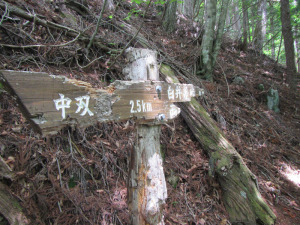 指導標