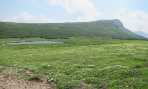 忠別岳