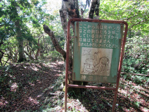 鳥獣保護
