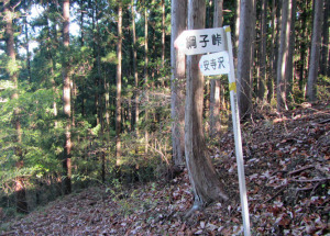 綱子峠