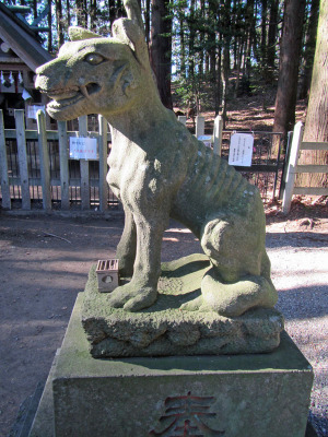 寶登山神社奥宮のオオカミ狛犬