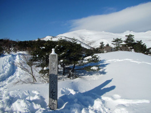 ほんとの空