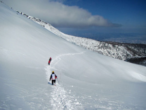 広い雪面を下る