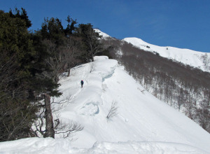雪庇