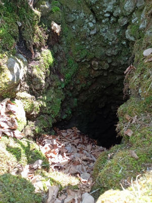 浅間山溶岩樹型