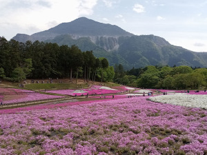 羊山公園