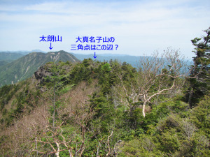 大真名子山