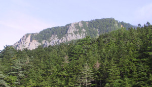 しらびそ小屋から見た南壁