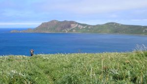 澄海岬付近から見るゴロタ岬