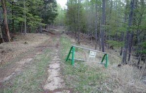 作業道から登山道へ