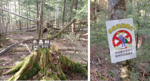 水晶峠