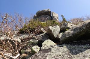 最期のひと登り