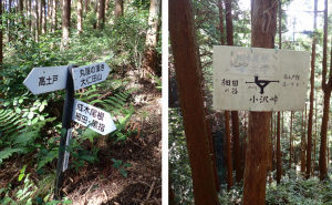 安楽寺が消えた指導標