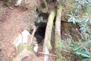 落し穴? 落し穴?